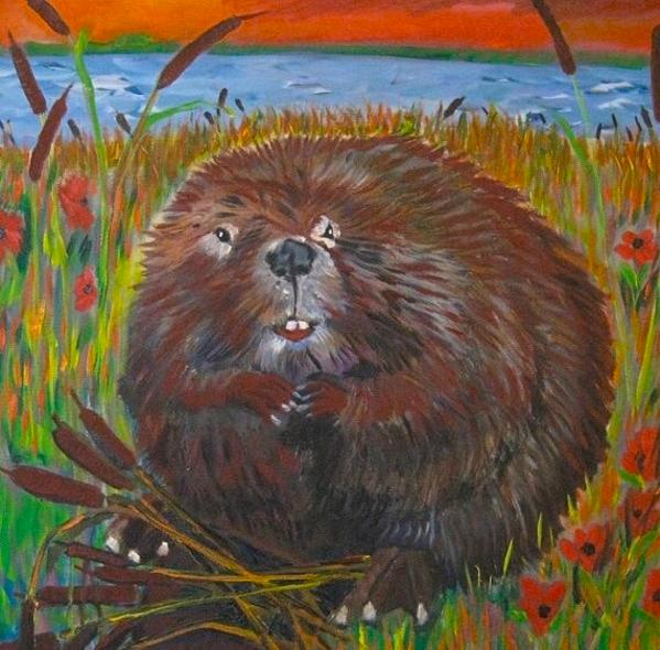 Beaver