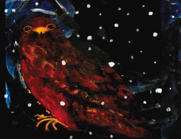 Night Hawk by Holly Sedgwick