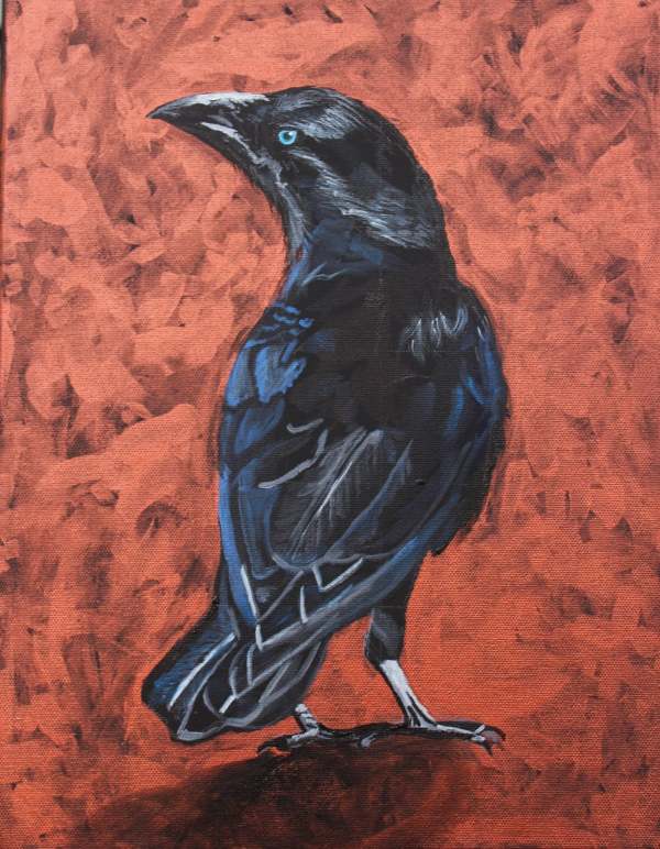 Crow Study #1 by Lisa Wiertel