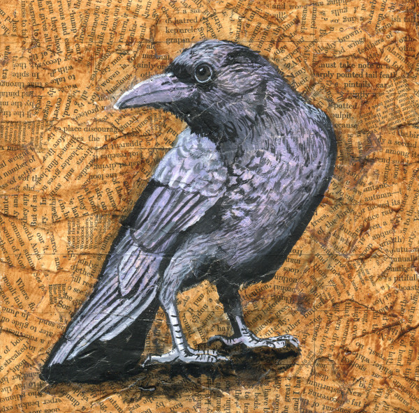 Crow, 2nd Attempt by Lisa Wiertel