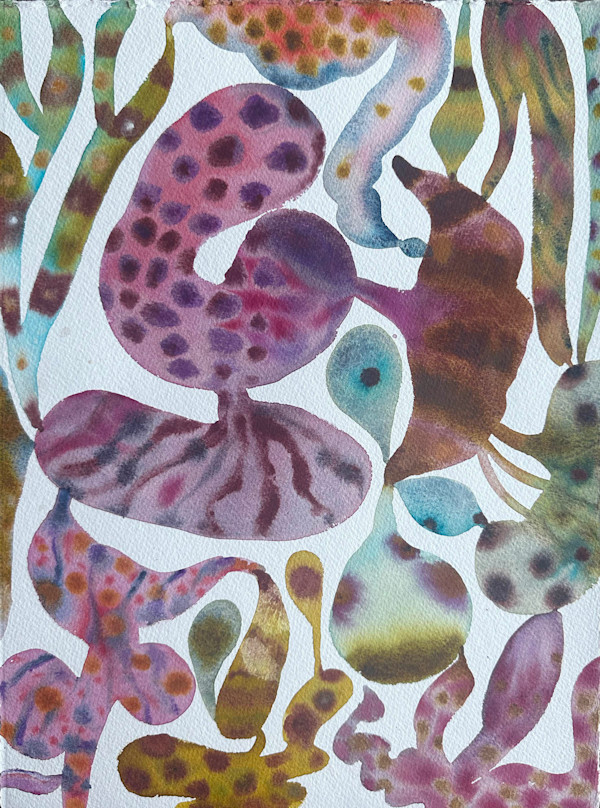 Velvet Bloom 5 by Stephanie Sachs