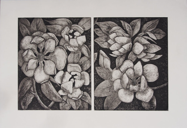 Magnolias Diptych by Carolyn Howse
