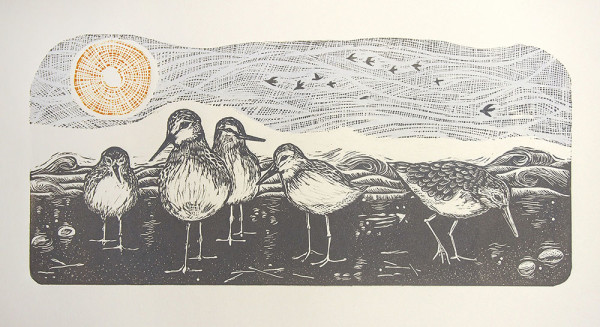 The Sandpipers' Beach by Carolyn Howse