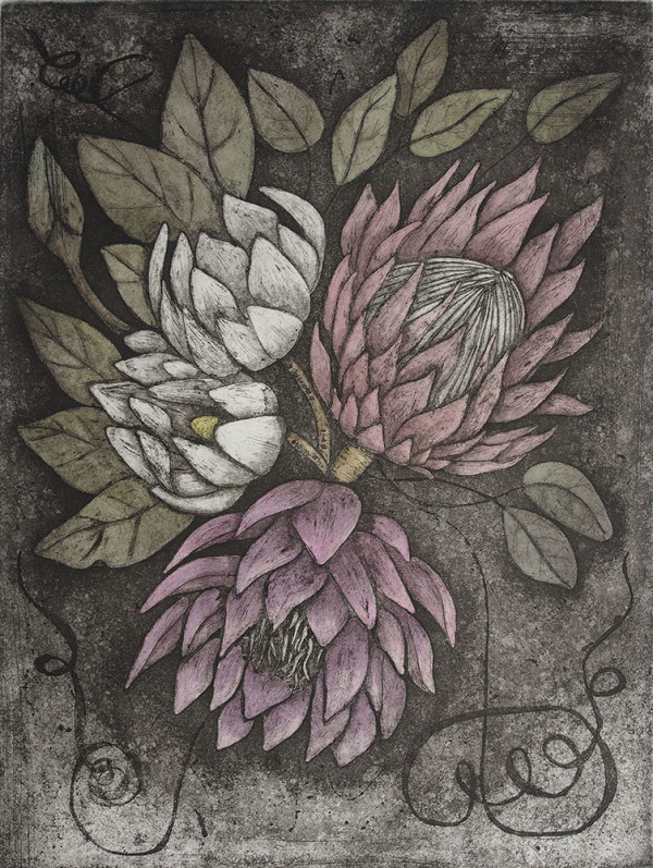 Floribundance Etching by Carolyn Howse