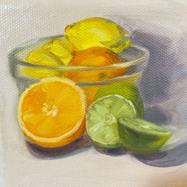 Citrus fruits by Lauren Ruch