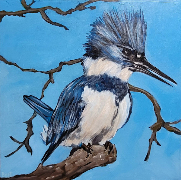 Belted Kingfisher by Sylvie Bart