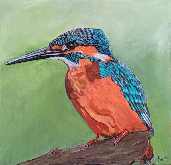 Eurasian Kingfisher by Sylvie Bart