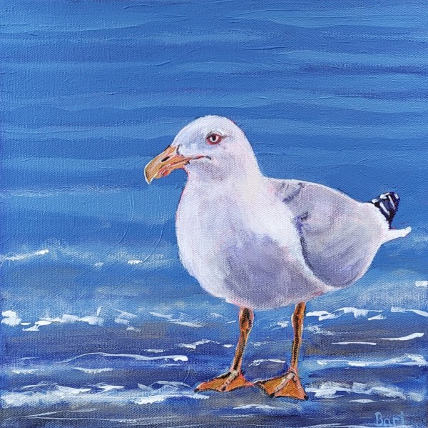Seagull by Sylvie Bart