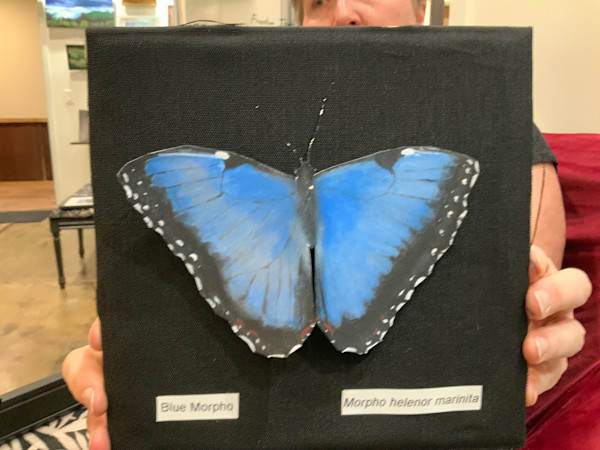 Blue Morph by Angelia Wilson, Image 1.