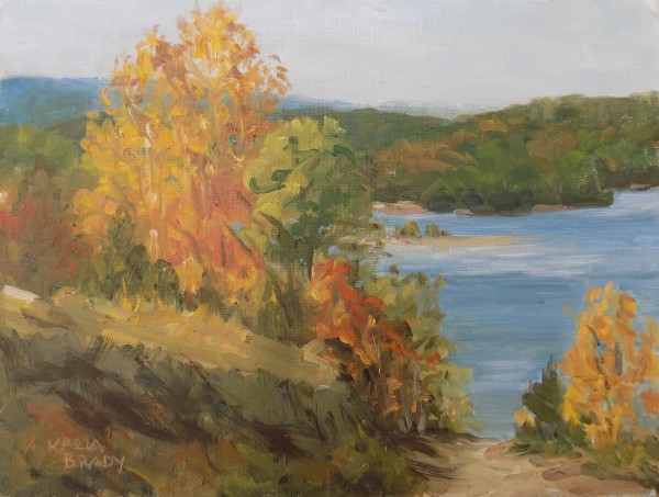 Beaver Dam Overlook by Karla Brady