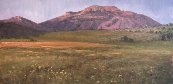 Evening in the Wichitas by Karla Brady
