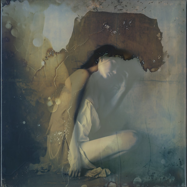 Memorex no. 3  -  "Souped Polaroid" by Diana Nicholette Jeon