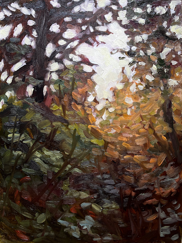 Shadows and Sky by Amber Bryans