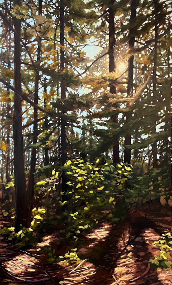 Through the Trees by Amber Bryans