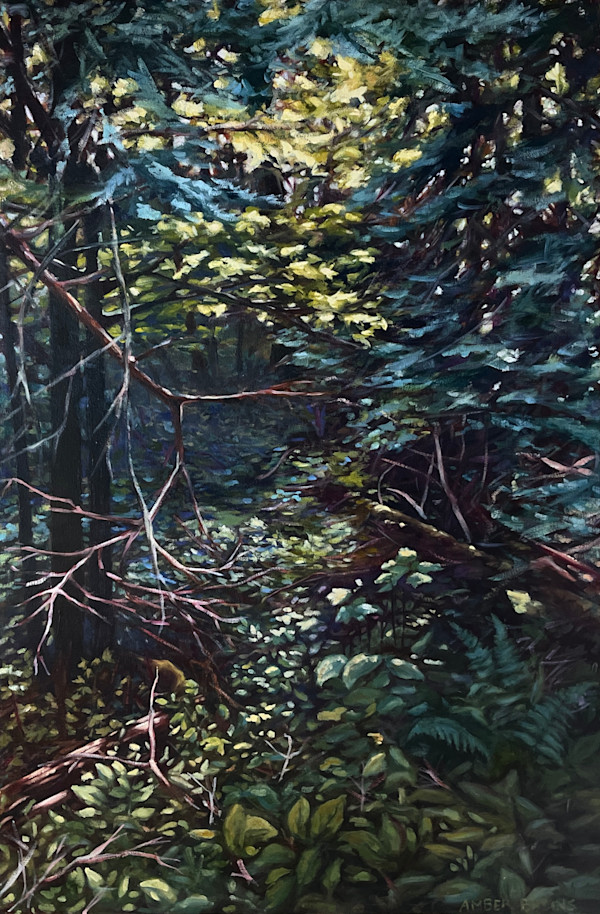 Into the Woods by Amber Bryans