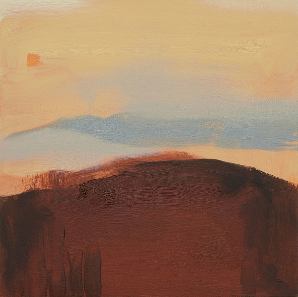 Land Diary V by Annie Norbeck