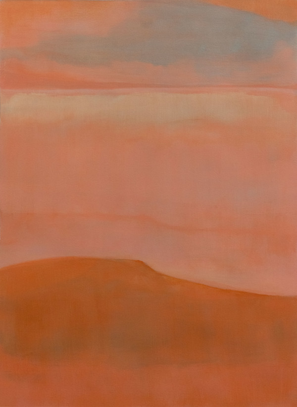 Pink Cloud by Annie Norbeck