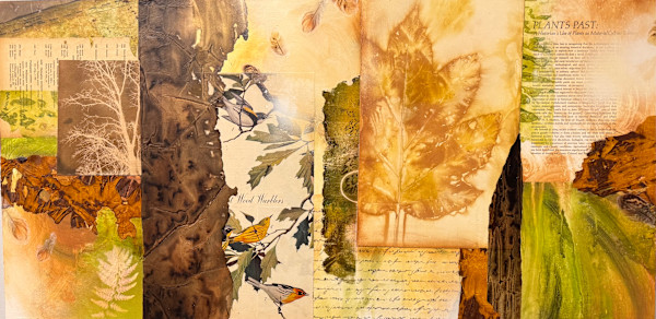Autumn Understory by Cheryl Holz, Image 1.