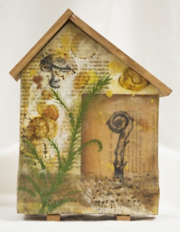 Little Houses: Fiddlehead Fungus by Cheryl Holz