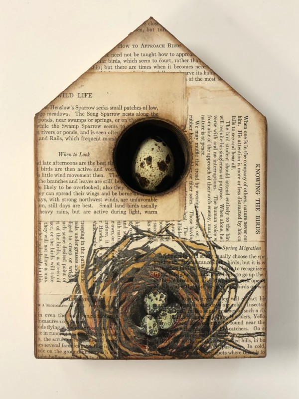 Bird Auction-Reading Nest