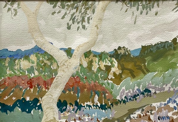 Spring in the Grampians (I) by Michele Owen