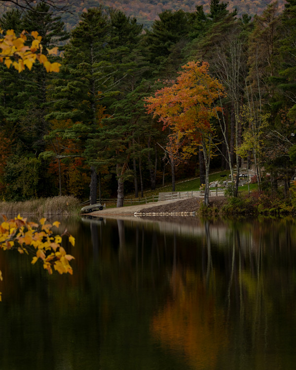 Serenity by Lacey Nobles