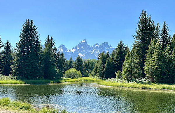 Majestic Mountains by Jamie Loganbill