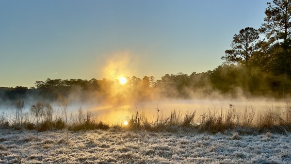 Frosty Morning Montgomery County by Gilchrist Jackson MD, FACS