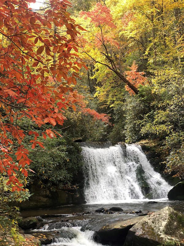 Fall Waterfall by Elizabeth Laguaite