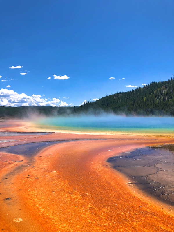 Vibrant Geyser by Elizabeth Sparrow
