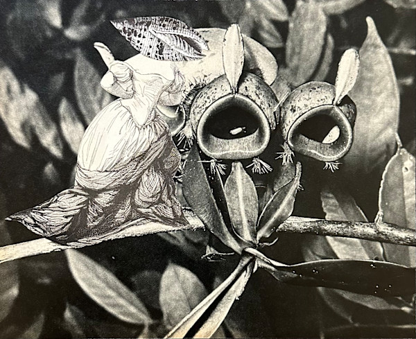 DIE BETÖRUNG by Ariane Severin | WeegeeWeegee