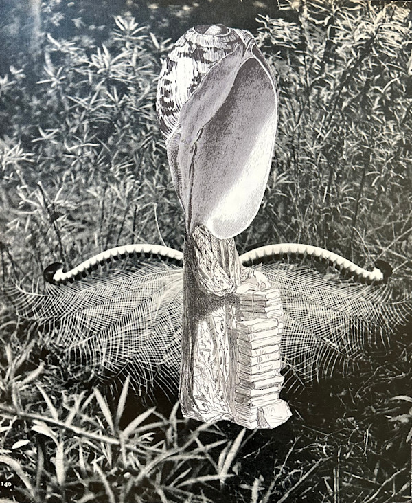 DIE BEFÜRCHTUNG by Ariane Severin | WeegeeWeegee