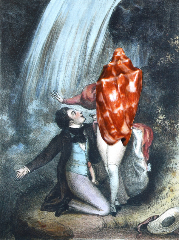 MOLLUSC SUCCUBUS: THE INNOCENCE by Ariane Severin, Image 1.