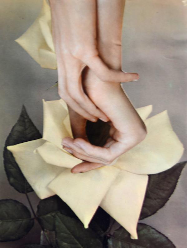 ALBERIC BARBIER by Ariane Severin | WeegeeWeegee