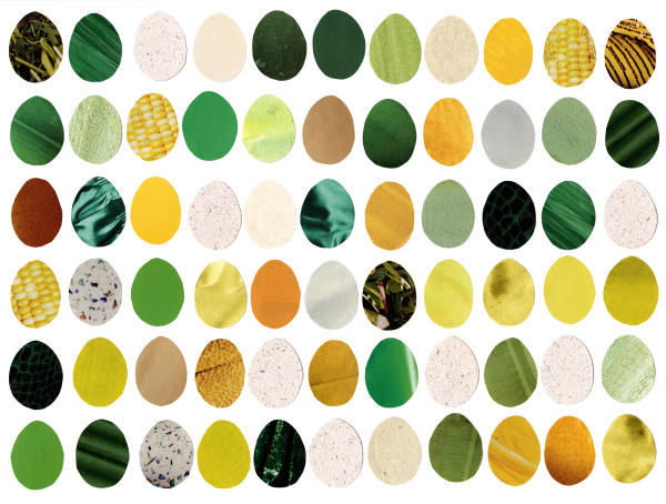 Eggs by Suzy Kopf