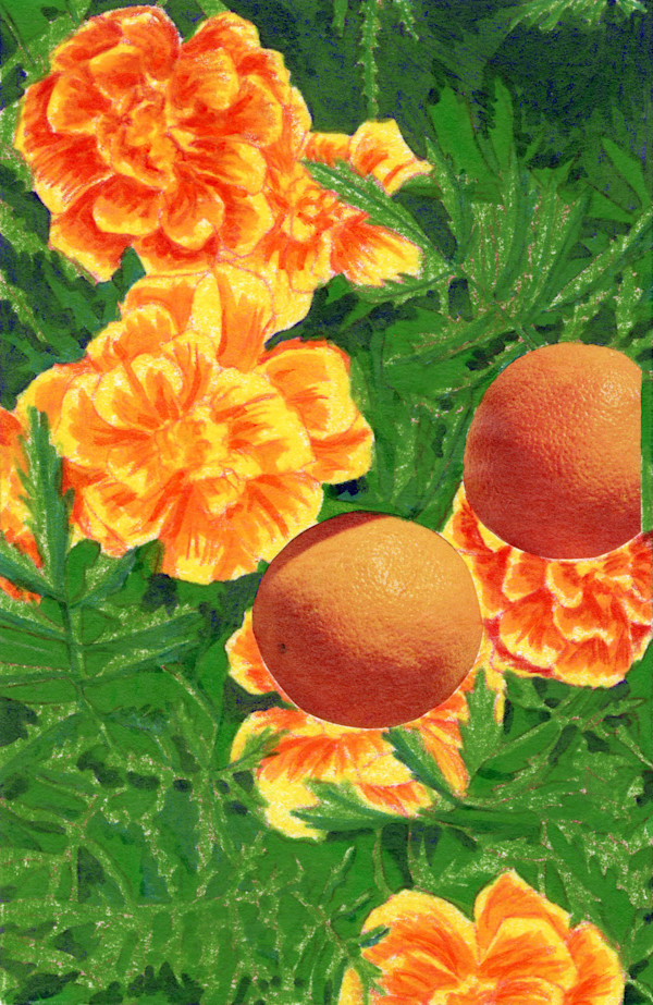 Janie Spry Orbs by Suzy Kopf