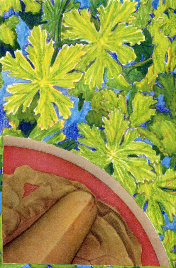 Windflower Pinkerton by Suzy Kopf