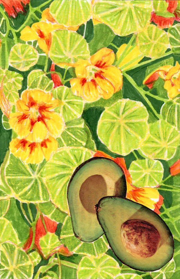 Alligator Pears and Lady Birds by Suzy Kopf