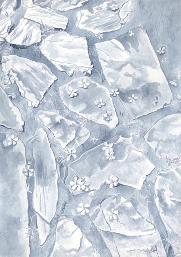 Payne's Gray by Suzy Kopf