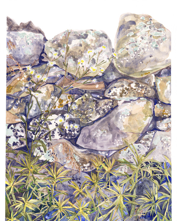 Rock Wall 3 by Suzy Kopf