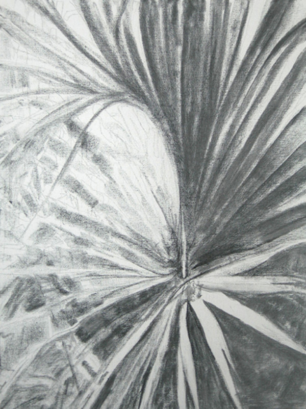 Palm by Chris Carter