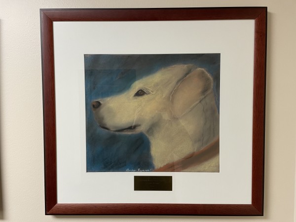 Labrador Retriever by The Gift of Art Collection