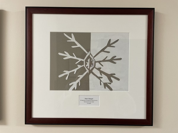 Spectacular Snow Flake by The Gift of Art Collection