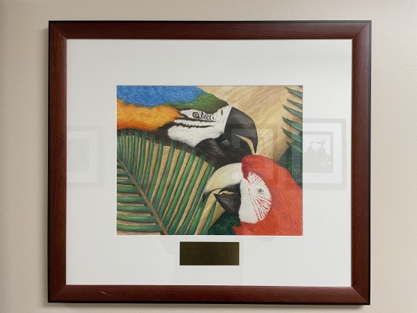Macaws by The Gift of Art Collection