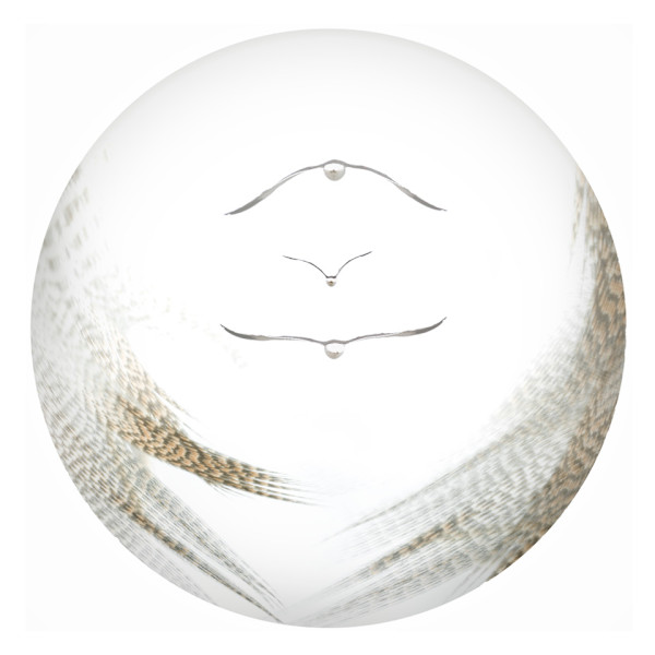 Alix Born by Da Silva Gallery / GALLERyLABS, Image 1.