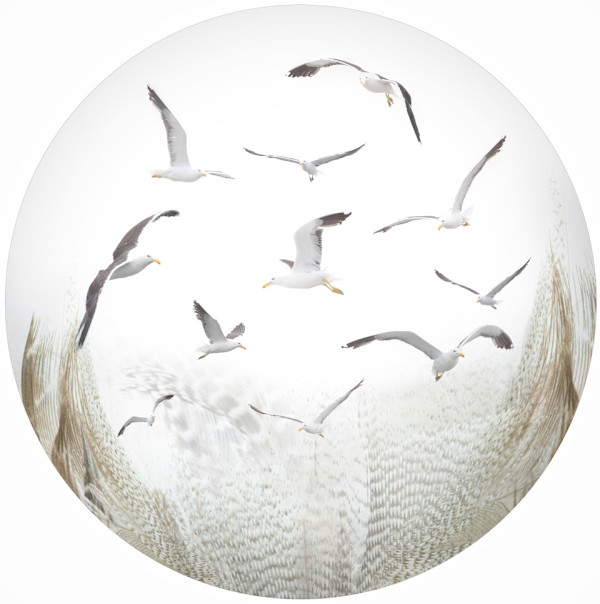 Alix Born by Da Silva Gallery / GALLERyLABS, Image 1.