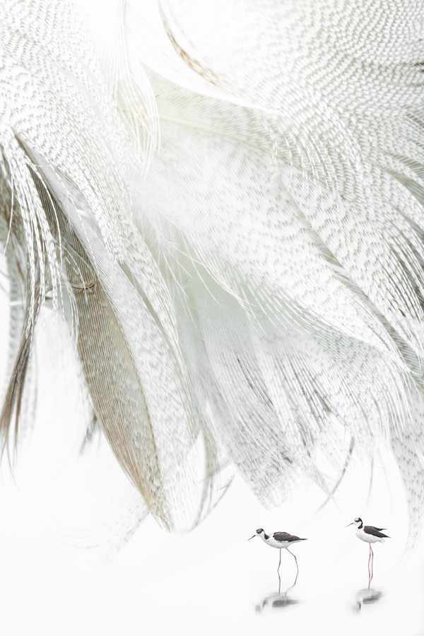 Alix Born _ RV13 by Da Silva Gallery / GALLERyLABS