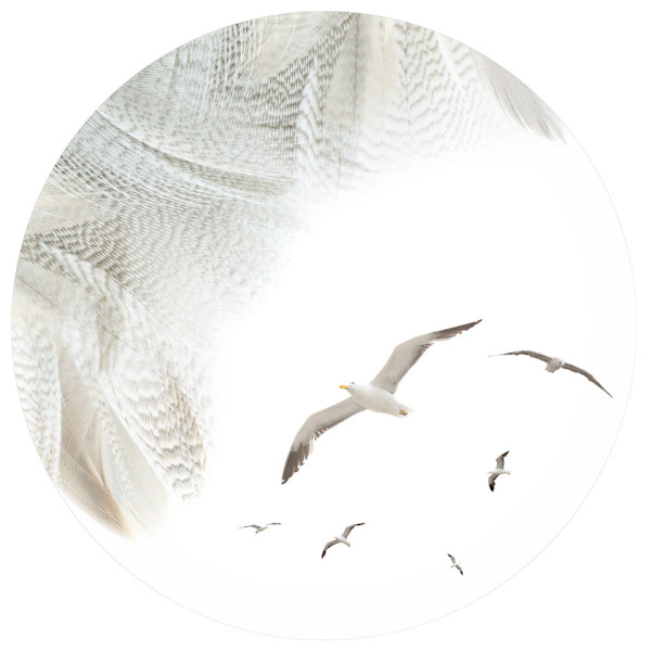 Alix Born by Da Silva Gallery / GALLERyLABS, Image 1.