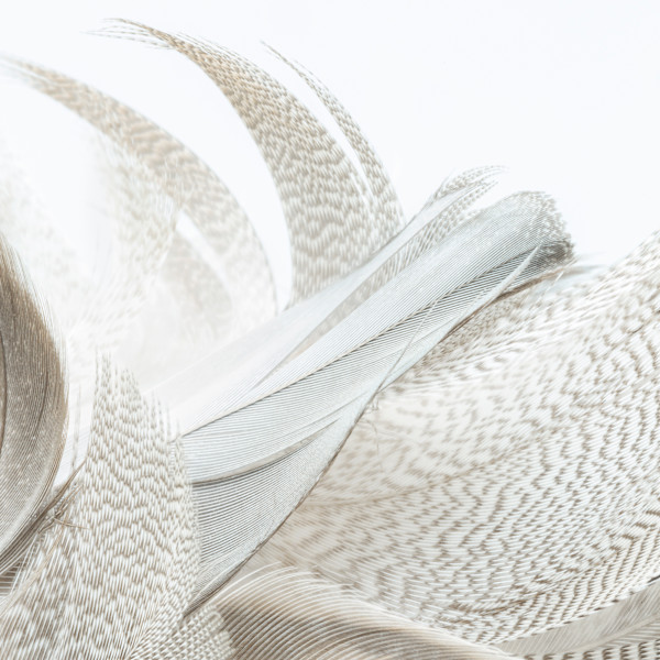 Alix Born _ RV15 by Da Silva Gallery / GALLERyLABS