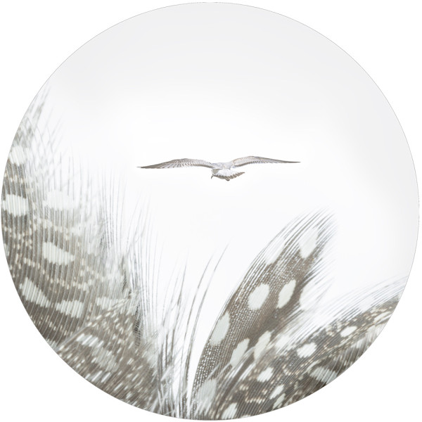 Alix Born by Da Silva Gallery / GALLERyLABS, Image 1.